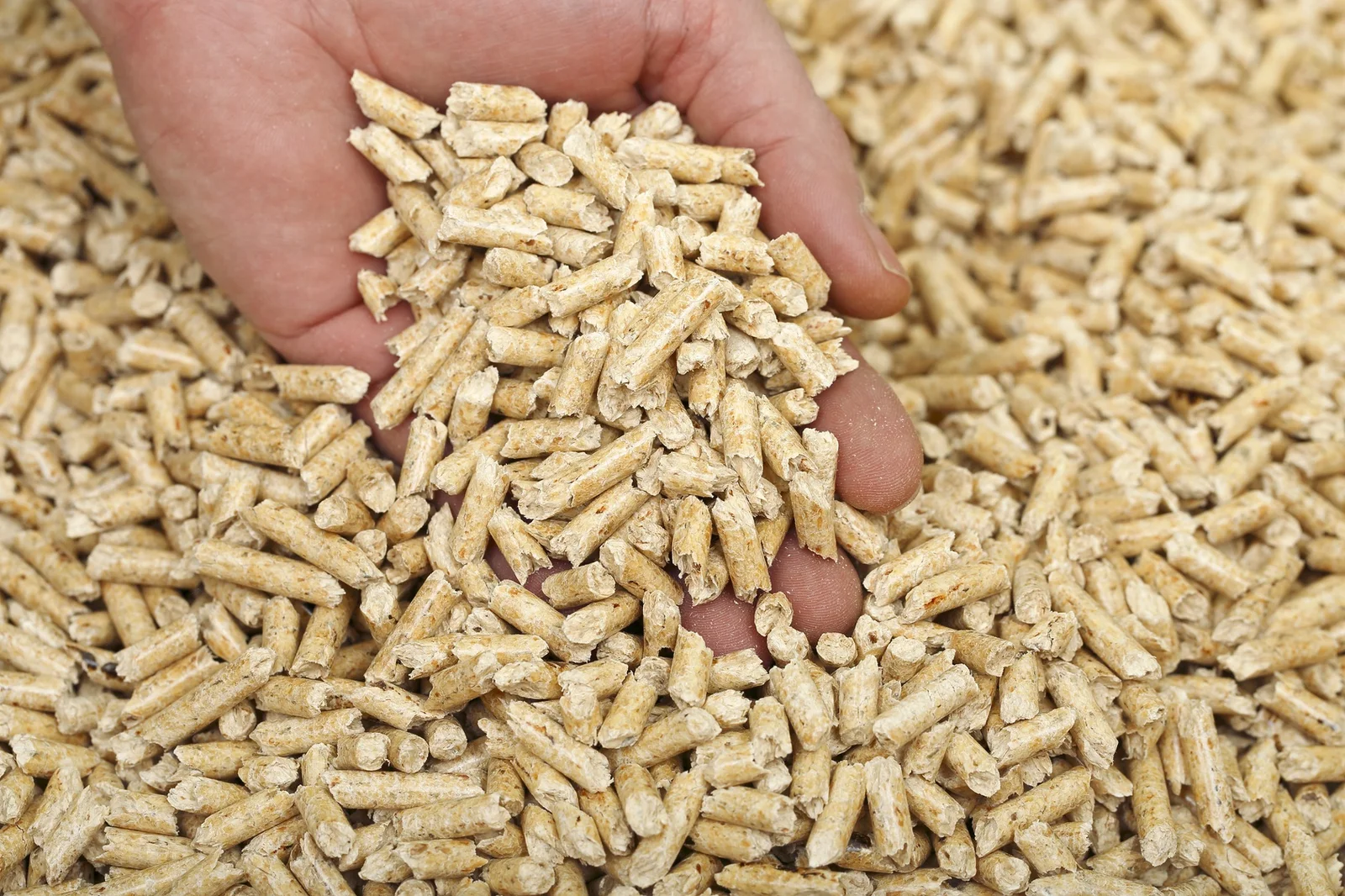 Pellets ENplus résineux en vrac — 1 tonne